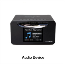 Audio Device