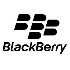 Blackberry Portable Battery