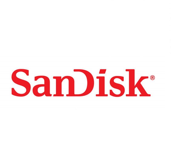 Sandisk Flash USB Ram