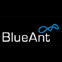 BlueAnt Bluetooth Adaptor