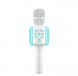 Wekome D23 BT Wireless Microphone Speaker K歌寶 藍牙音箱 麥克風 K歌神器 - WH/BL #D23K [香港行貨]