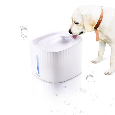 Xpower PF1 Water Dispenser for Pet 寵物智能飲水機 #XP-PF1-WH [香港行貨]