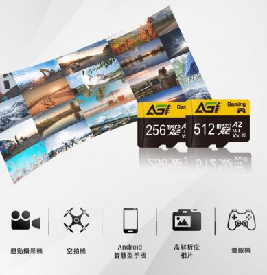 AGI U1 V30 4K A2 MICRO SD CARD 亞奇雷 記憶卡 附轉卡 [香港行貨]