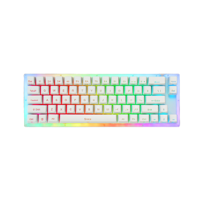 Womier K66 RGB Mechanical Keyboard - Brown 背光機械鍵盤 (茶軸) #K66-BROWN [香港行貨]