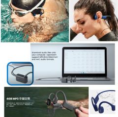 Shokz OpenSwim S700 Bone Conduction Headphones 骨傳導防水MP3耳機 (4GB) [香港行貨]
